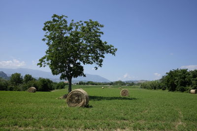 Hay bales on landscape against blue sky