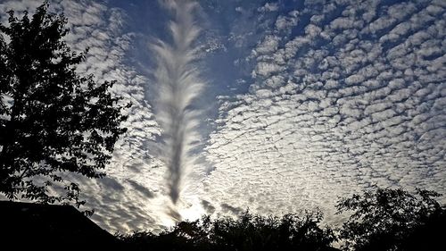 Low angle view of silhouette trees against sky