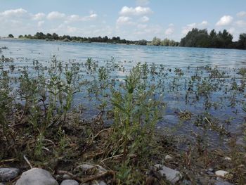 Scenic view of lake against sky