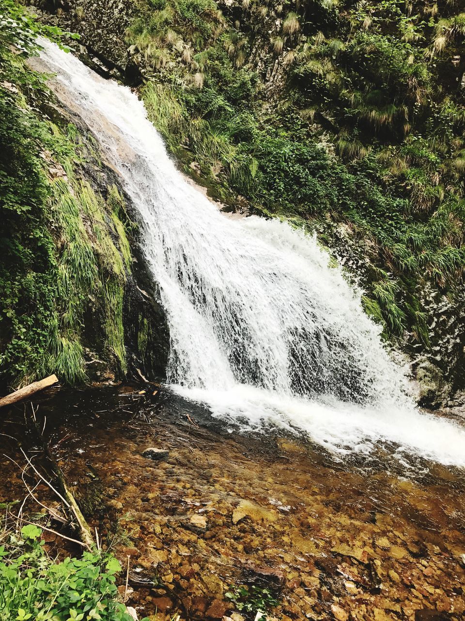 VIEW OF WATERFALL IN FOREST