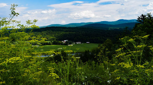 Scenic view of landscape against sky