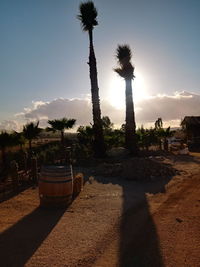 Palm trees against sky during sunset