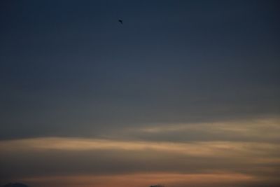 Low angle view of airplane flying in sky