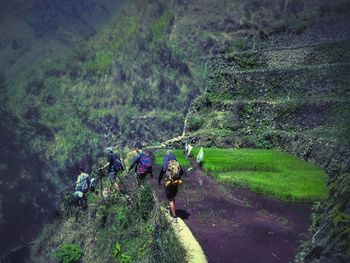 High angle view of people on mountain against trees