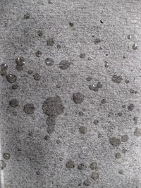 Close-up of footprints on sand