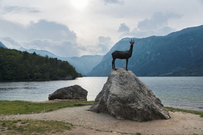 Horse standing on rock by lake against sky