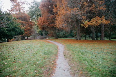 Footpath amidst trees in park during autumn