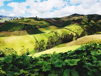 Scenic view of landscape against sky