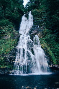 Scenic view of waterfall in forest