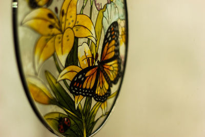 Close-up of butterfly on flower