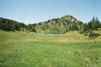 Scenic view of field against clear sky