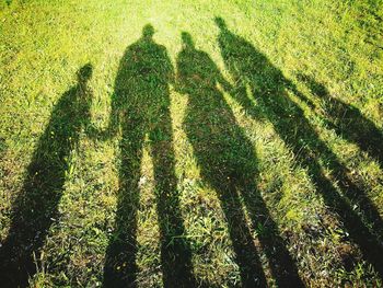 Shadow of people on field