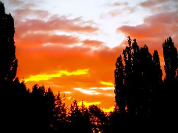 Low angle view of silhouette trees against orange sky