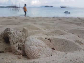 Scenic view of beach against sky