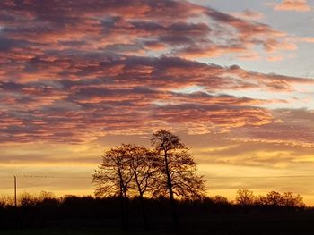 Silhouette trees on field against romantic sky at sunset