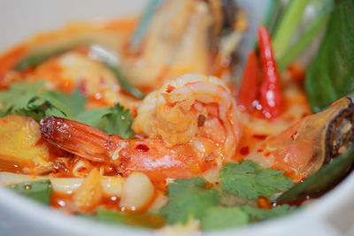 Close-up of fresh meal served in plate