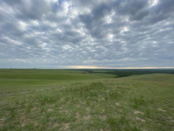 Scenic view of field against sky