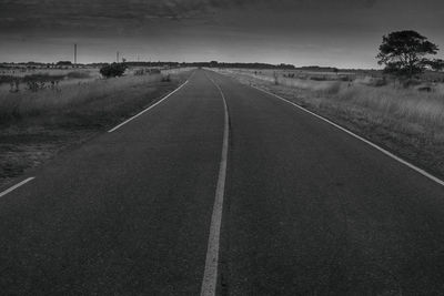 Empty road along trees
