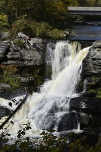 Scenic view of waterfall in forest