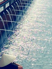 Close-up of plants in water