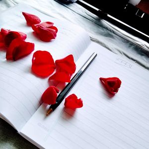 High angle view of red roses on table