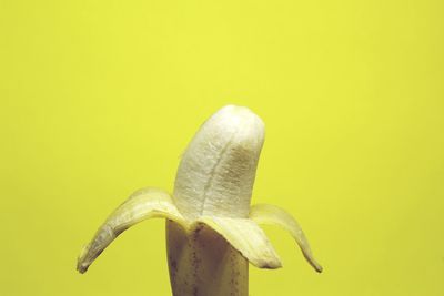 Close-up of banana against yellow background