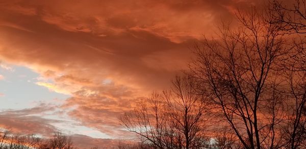 Low angle view of silhouette trees against sky at sunset