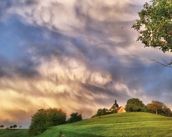 Trees on field against sky during sunset