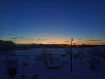 Snow covered plants and trees against sky during sunset