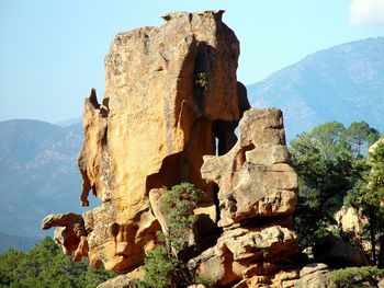 Low angle view of cactus against sky