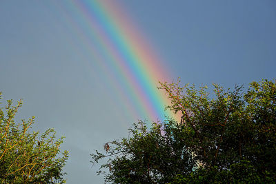 Low angle view of rainbow against clear sky