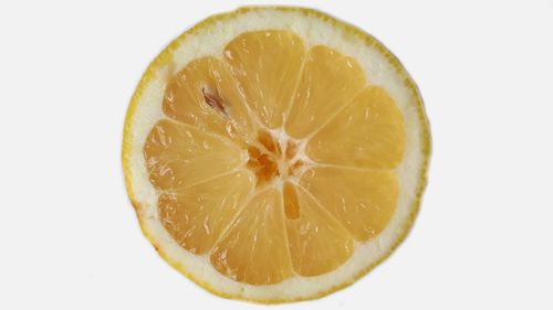 Close-up of lemon slice against white background