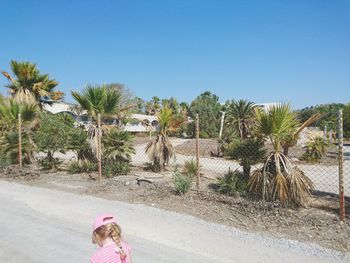 Palm trees on landscape against clear sky