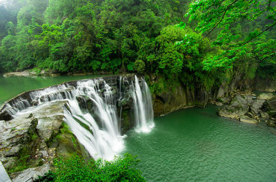 Scenic view of waterfall in forest