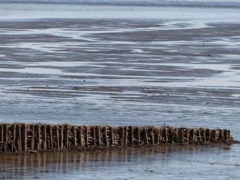 Weathered groyne on beach