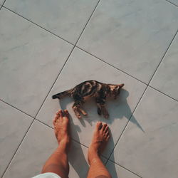 Low section of person with umbrella on tiled floor