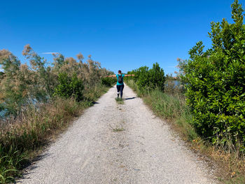 Rear view of man walking on road amidst trees