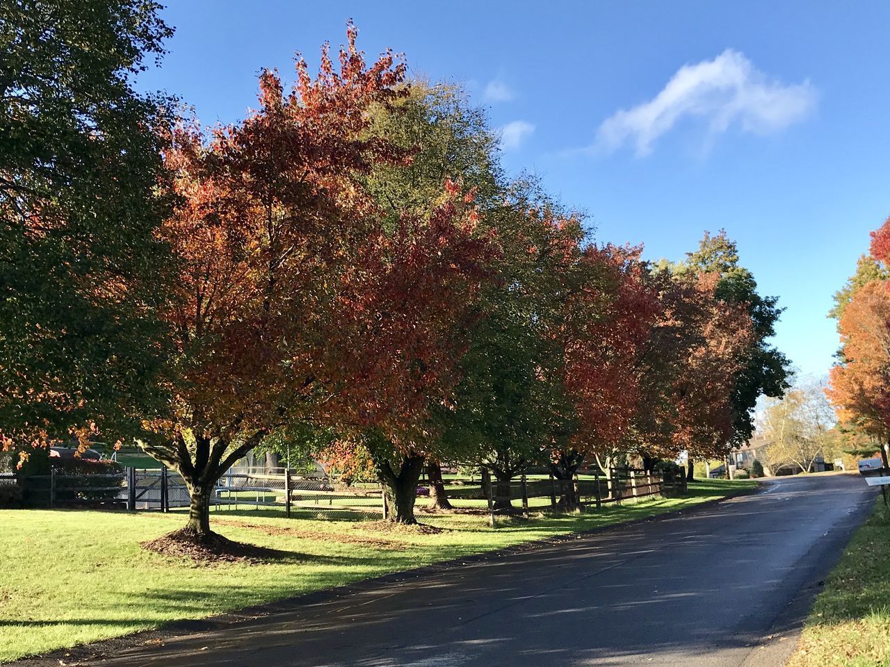 ROAD BY TREES IN PARK AGAINST SKY