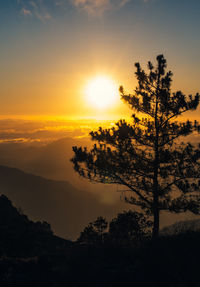 Silhouette tree on mountain against sky during sunset