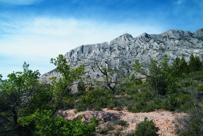 Low angle view of trees and mountains against sky