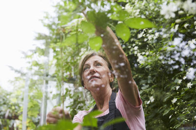 Senior female gardener analyzing plants seen through glass in yard