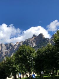 Low angle view of trees and plants against cloudy sky