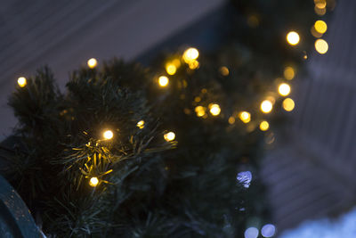 Illuminated christmas tree at night