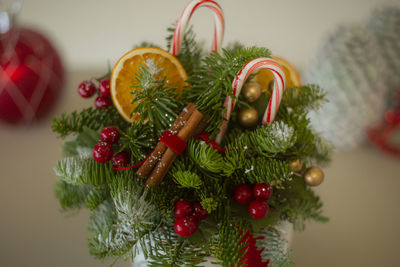 Close-up of christmas tree