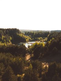 Scenic view of field against clear sky