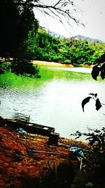 Scenic view of lake with trees in background