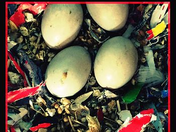 Full frame shot of firewood