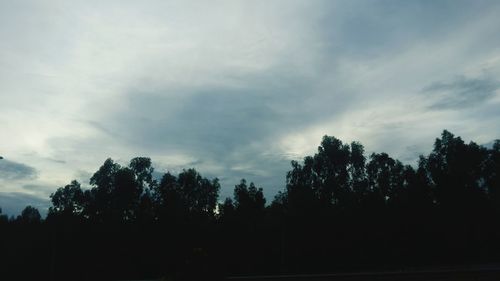 Low angle view of trees against cloudy sky