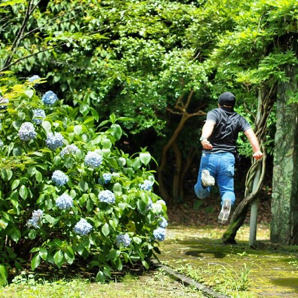 full length, lifestyles, casual clothing, rear view, leisure activity, childhood, growth, plant, tree, green color, walking, boys, men, girls, togetherness, nature, elementary age