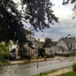 Close-up of water drops on glass